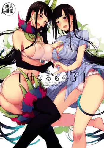 (C90) [Pochi-Goya. (Pochi.)] Ane Naru Mono 3 | An Elder Sister 3 (Ane Naru Mono) [English] [Facedesk]