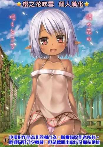 (COMIC1☆11) [Noraneko-no-Tama (Yukino Minato)] Namida no Hana no Saku Tokoro [Chinese] [櫻之花吹雪個人漢化]